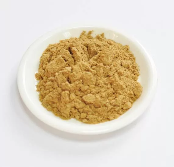 Сухой экстракт шалфея (лист) (лат. Salvia officinalis L)